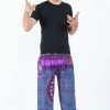 HaremPants.com Tribal Chakras Men's Harem Pants In Purple