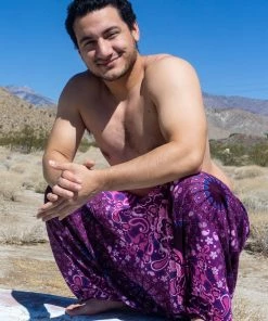 HaremPants.com Plus Size Paisley Mandalas Drop Crotch Men's Harem Pants In Purple